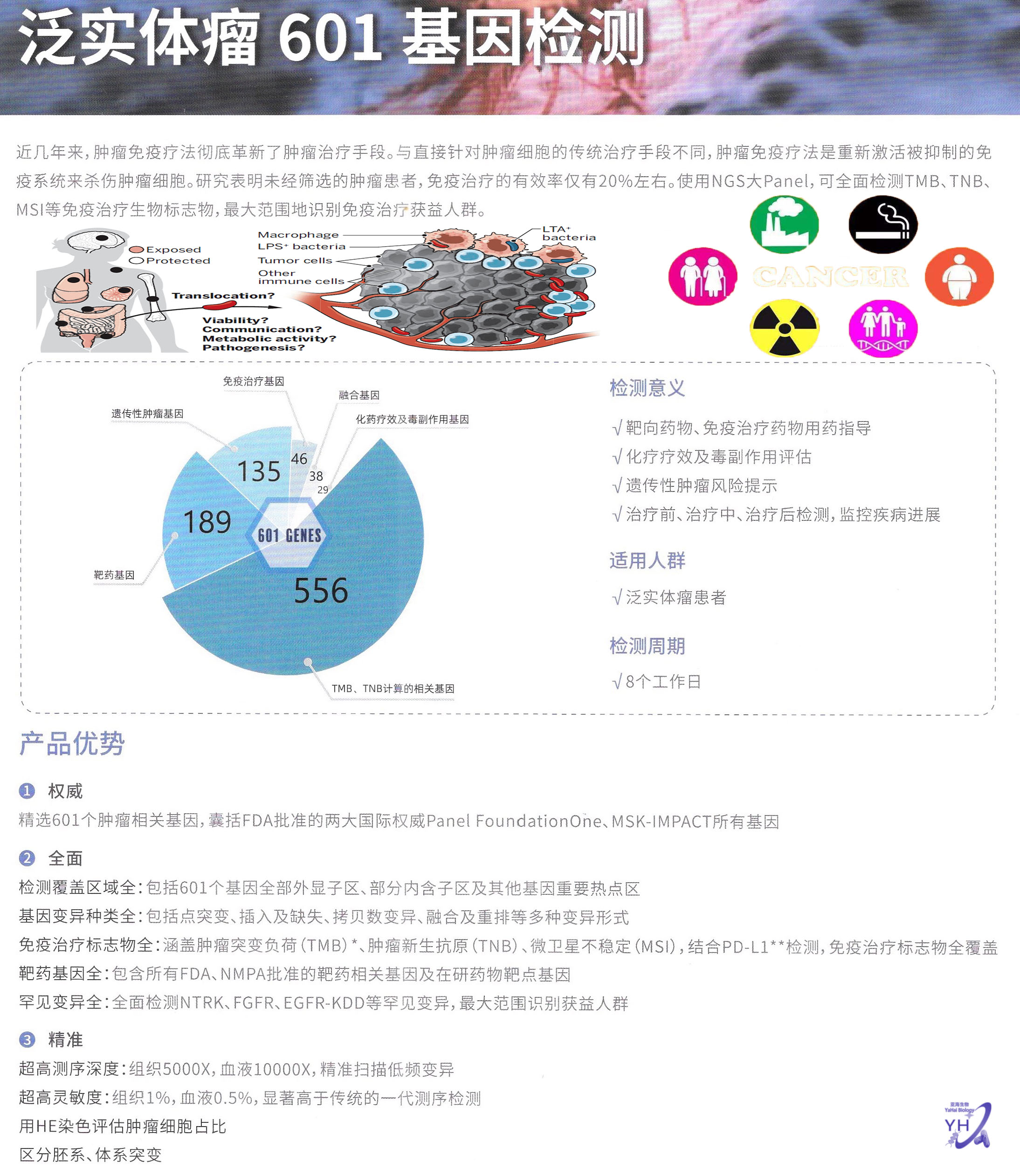 泛实体瘤601基因检测 Meatastatic Solid Tumor Test 601 Types