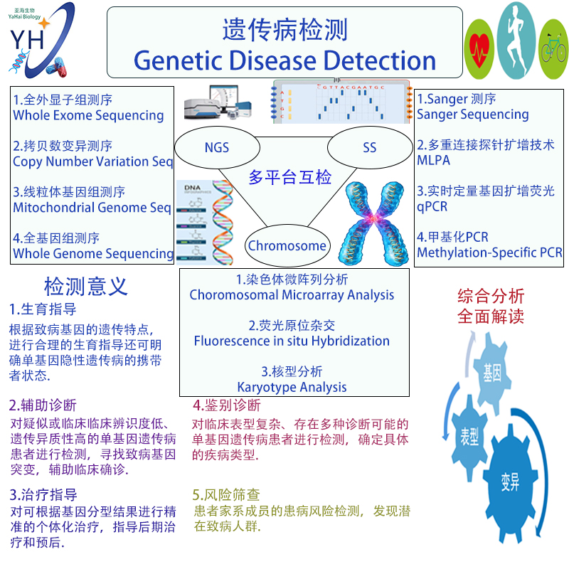 遗传病检测Genetic Disease Detection
