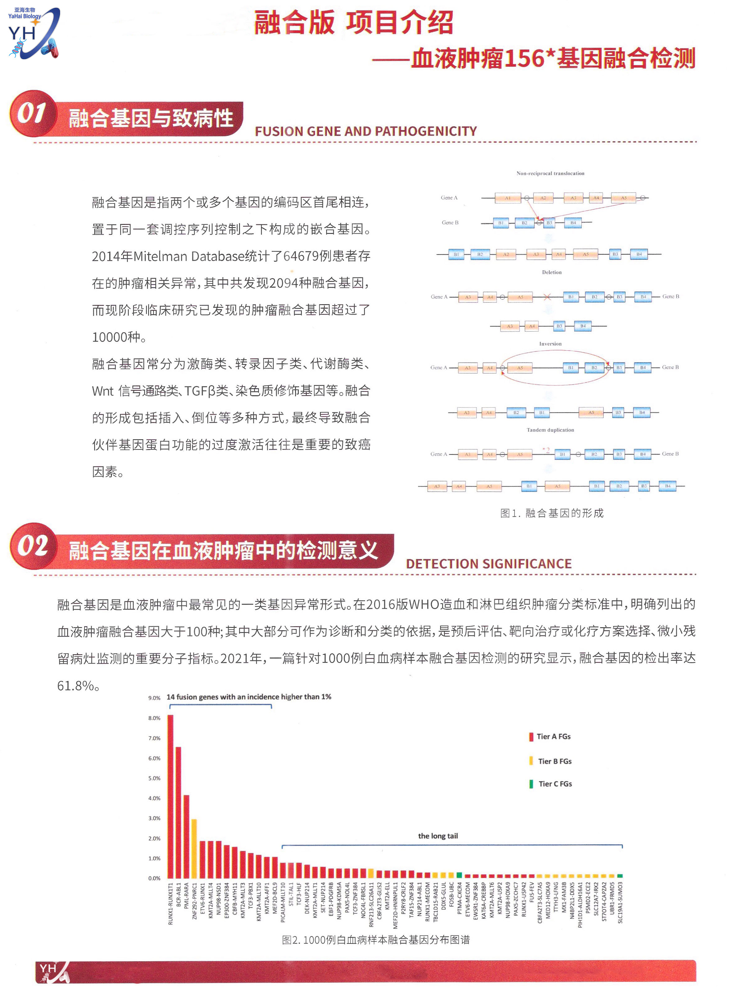 血液肿瘤融合基因检测 Detection of Fusion Genes in Blood Malignancies